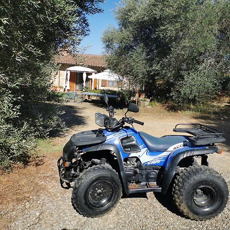Agriturismo Cantagalli San Quirico d'Orcia Luaran gambar