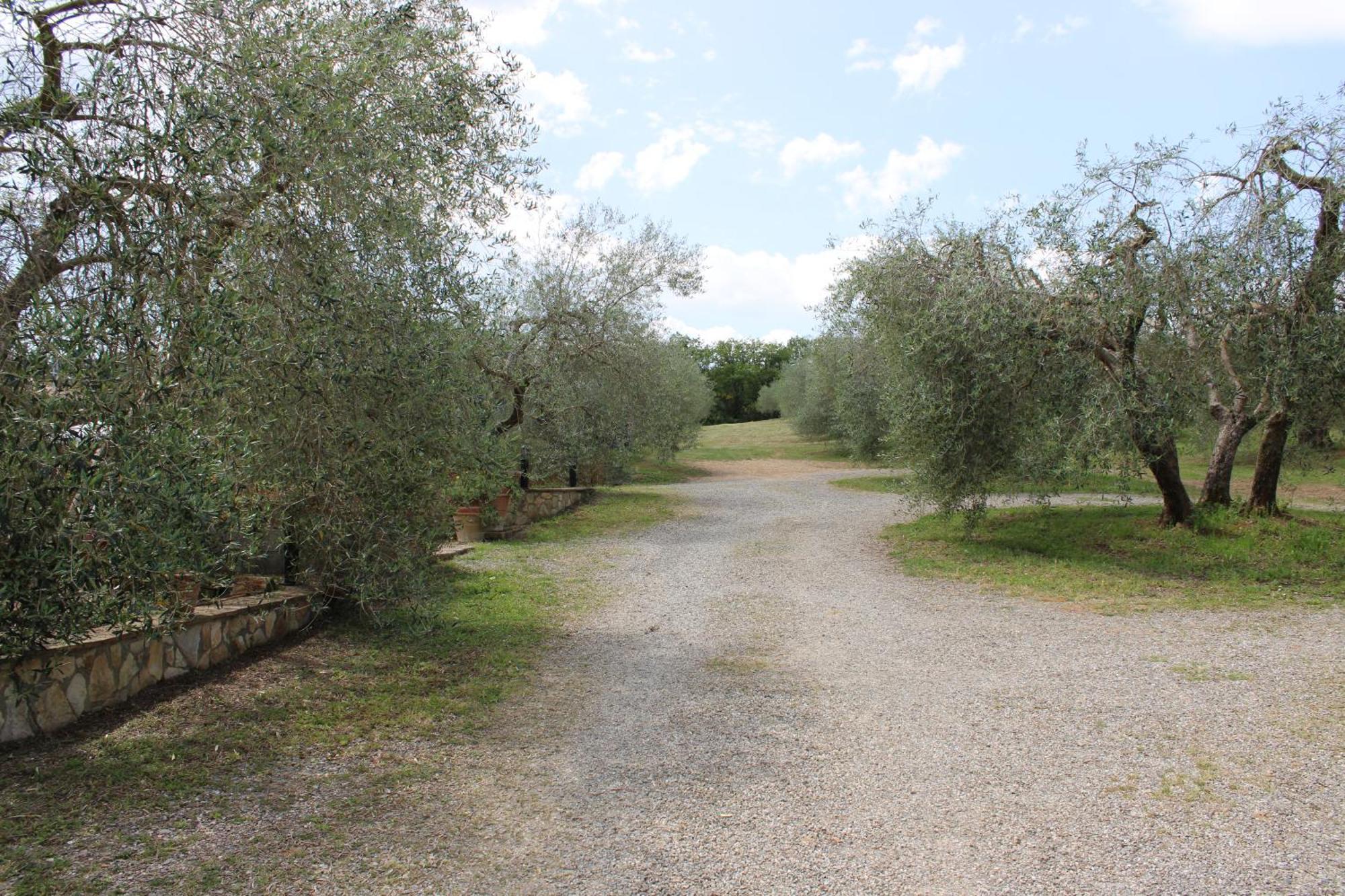 Agriturismo Cantagalli San Quirico d'Orcia Luaran gambar