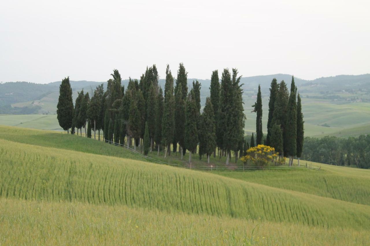 Agriturismo Cantagalli San Quirico d'Orcia Luaran gambar