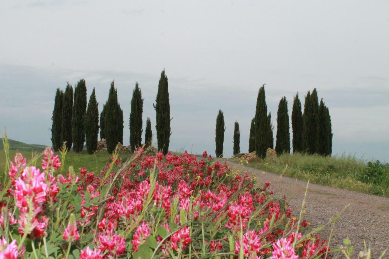 Agriturismo Cantagalli San Quirico d'Orcia Luaran gambar
