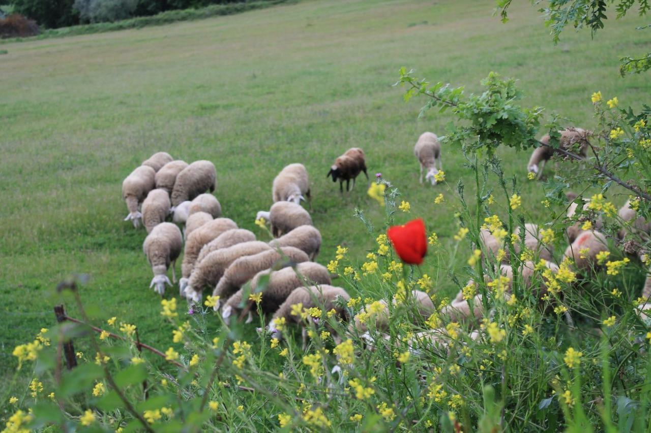 Agriturismo Cantagalli San Quirico d'Orcia Luaran gambar